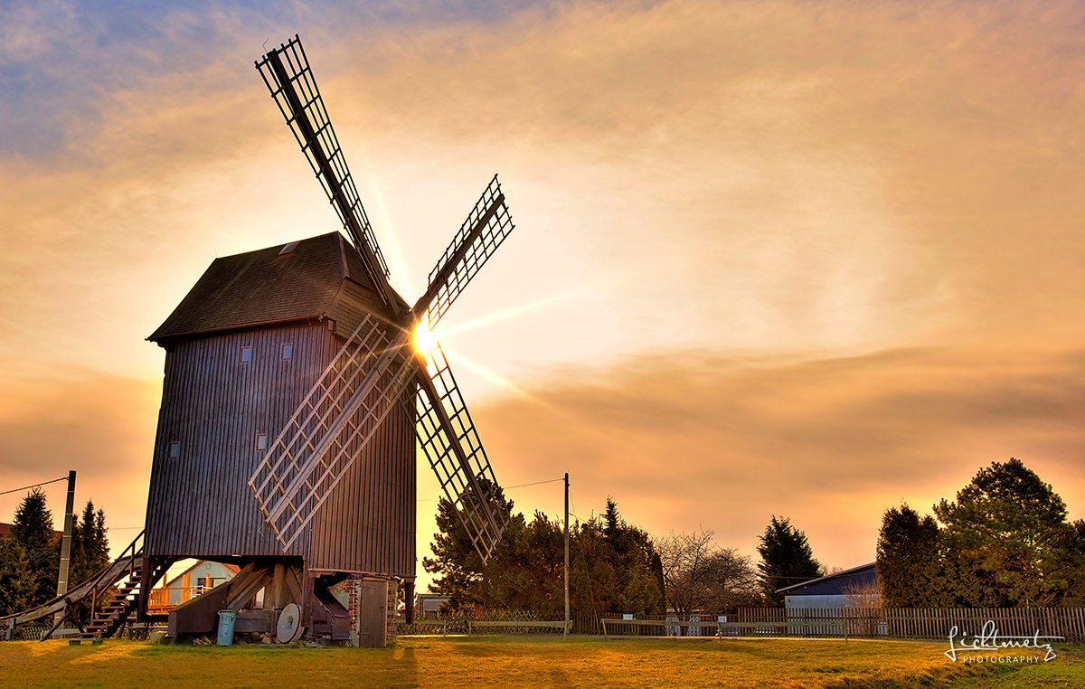 Der Sonne entgegen / HDR - High Dynamic Range